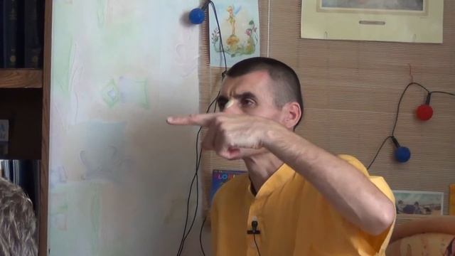 Вальмики прабху. Отношения с духовным учителем. Беседа на бхакти-врикше в Перми 15.08.2013 смотреть онлайн