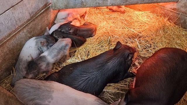 скоро полетим на Мальдивы смотреть онлайн