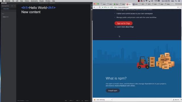 Easy CLI Live server setup for node localhost-Laurence Svekis|Learnfly смотреть онлайн