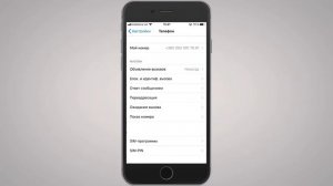 Как сделать свой текст автоответа при сбросе звонка на iPhone? Создаём шаблон для ответа на звонок