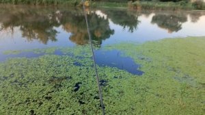 ?Рыбалка теплый канал Новочеркасск? #город61 #рыбалка #рыбалка2023 #рыбалкатеплыйканал