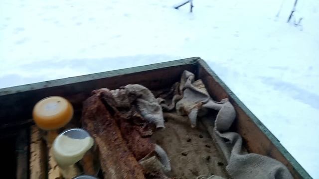 Пчеловодство. Начинаем новый сезон смотреть онлайн