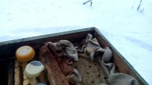 Пчеловодство. Начинаем новый сезон