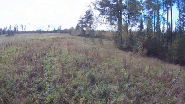 Охота в Карелии / Практикуюсь в стрельбе / Ружьё Beydora BDR-90 смотреть онлайн