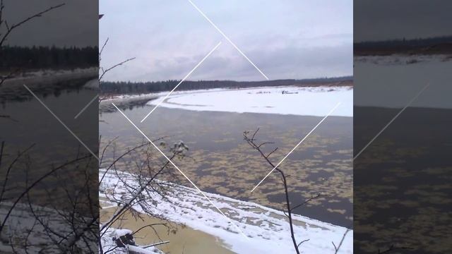 Зотино, тайга, центр Сибири смотреть онлайн