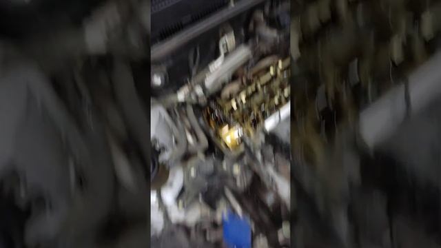 ХЕНДАЙ СОЛЯРИС ЗАМЕНА ПРОКЛАДКИ КРЫШКИ КЛАПАННОВ/ АРТИКУЛ ПРОКЛАДКИ КЛАПАННОЙ КРЫШКИ ХЕНДАЙ СОЛЯРИС смотреть онлайн
