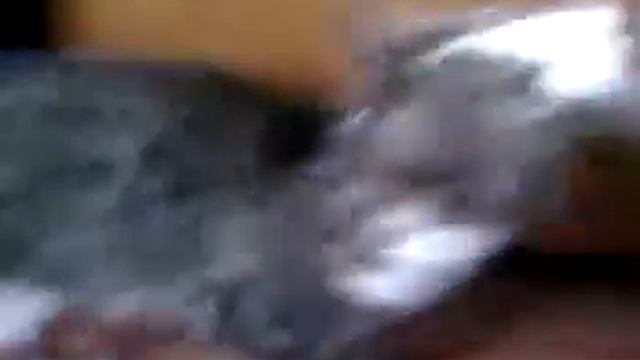 боря хэллоу! факин кэт смотреть онлайн