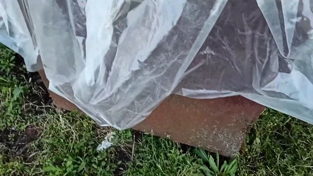 Не показывайте это видео Американцам, они этого не переживут! !! смотреть онлайн