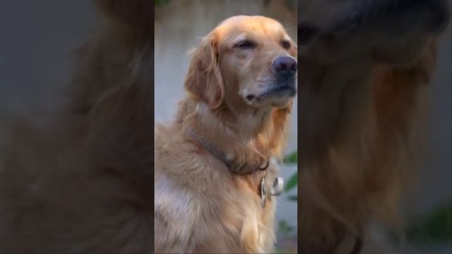 Они умеют ждать … смотреть онлайн