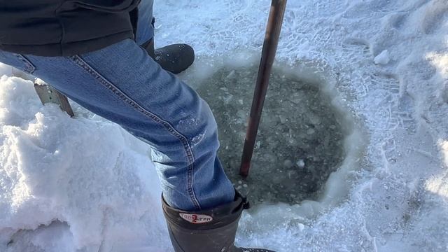 Достаём садок с рыбой спустя пол года смотреть онлайн