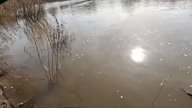 Рыбалка на поплавок в апреле 2023 на речке. смотреть онлайн