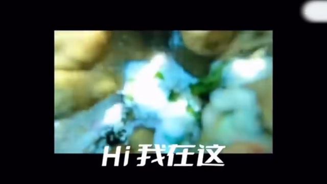 【最新售後】趙露思陳哲遠同遊泰國？ 一起坐摩天輪逛夜市，笑得好開心！【偷偷藏不住Hidden Love】#赵露思 #陈哲远 смотреть онлайн