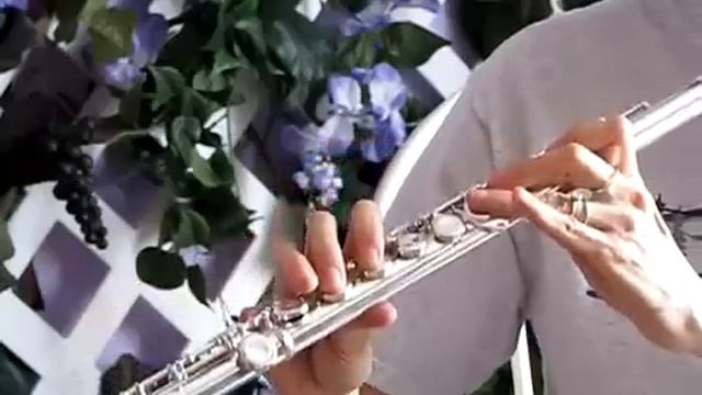 Jupiter Beginner Used Flute - Sound Demo #1 смотреть онлайн