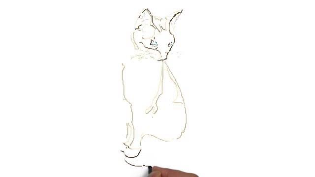 Как нарисовать кошку. Doodle video смотреть онлайн