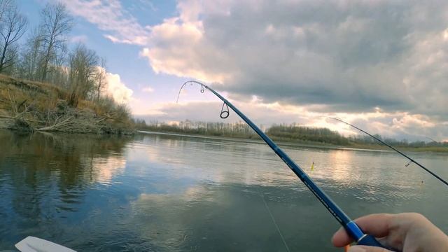 Здоровый СУДАК НЕ ВХОДИТ в ПОДСАК! Ловля большого судака и щуки на джиг. Рыбалка в Тюмени 2020. смотреть онлайн