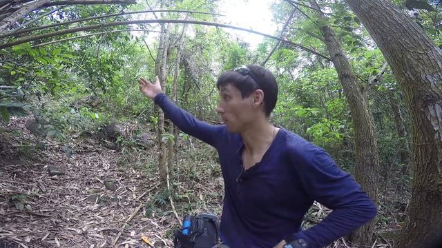 Вьетнам. Сезон дождей. Поход с ночёвкой. Part 1 (walk Through The Forest)