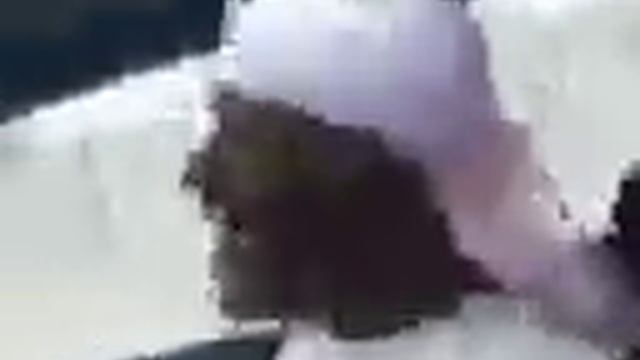 dikij smeh negra.240.mp4 смотреть онлайн