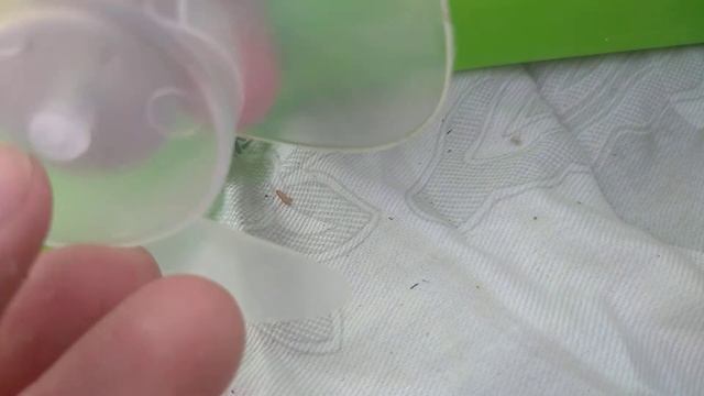 Как Сделать с Творчеством