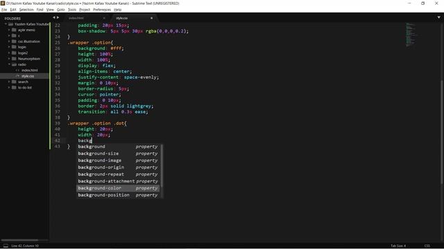 Html Css İle İnput Radio Seçim Butonu смотреть онлайн