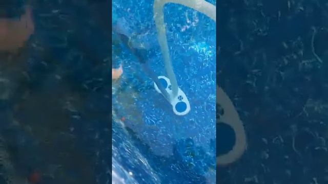 Пылесос для уборки дна бассейна ЛАГУНА! смотреть онлайн