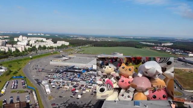 лучший магазин игрушек на ТЦ Экспобел минск смотреть онлайн