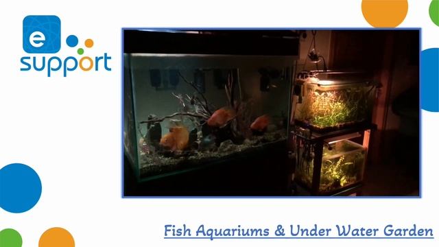 Smart Fish Aquarium & Under Water Garden managed by eWeLink devices смотреть онлайн