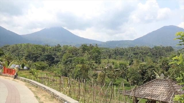 Бали 2019. 3 серия. Рисовые Террасы