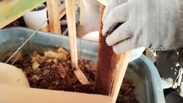 Выбивание перги из пчелиных сот смотреть онлайн