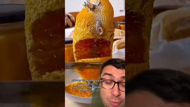 Вот почему мёд не портится? смотреть онлайн