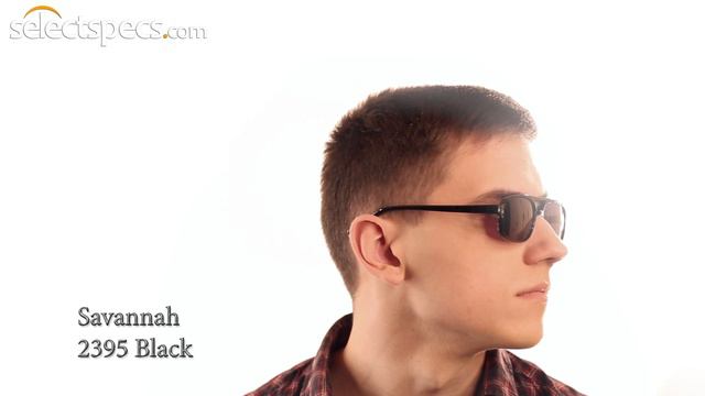 Wayfarer-style Sunglasses for Men - Savannah P2395 (Black) смотреть онлайн