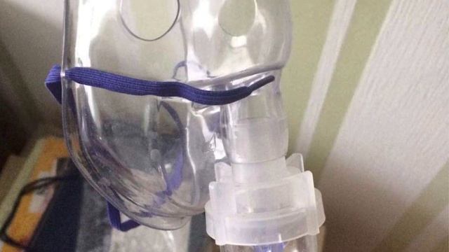 Компрессорный ингалятор/небулайзер B.Well WN-117