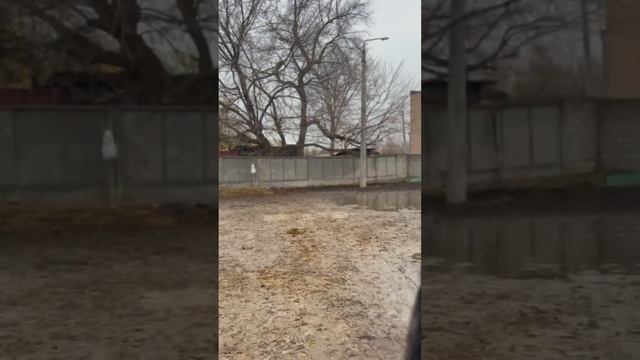 Катаемся на лошадях, выходной в конюшне. смотреть онлайн