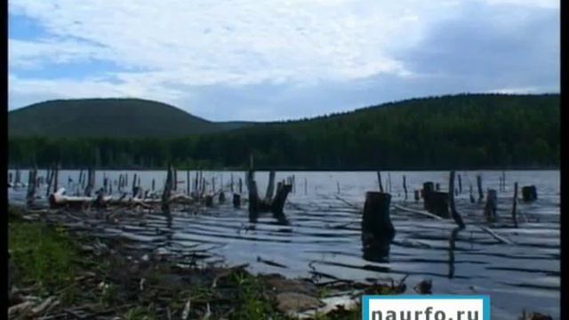 В Екатеринбурге не хватает питьевой воды смотреть онлайн