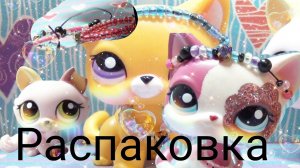 Распаковка новой кошки/Обзор на новых стоячек