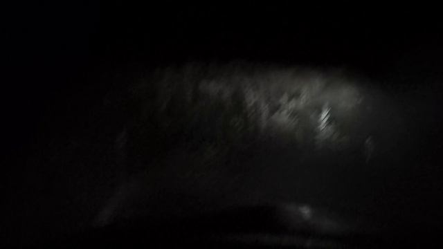 Кабан с яйцами)))))) смотреть онлайн