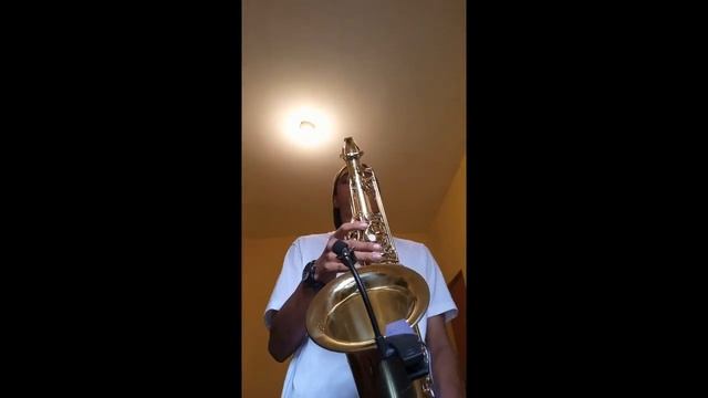 LA BACHATA / Manuel Turizo/ Sax Tenor смотреть онлайн