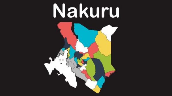 Discover Countries With The Best Wildlife Around The World! | Geography For Kids | KLT Geography