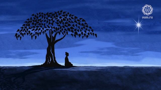 О гневе и проклятии мудрецов. Антон Чудин смотреть онлайн