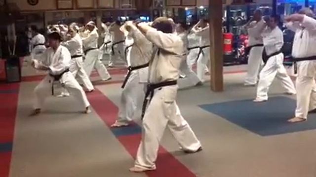 Kata Review with Kancho Henri-Oh смотреть онлайн