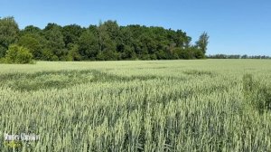 Dmitry Glushkov - Endless (Original mix)