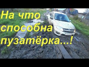 Дела по дому/ Гранта с самоблокировкой на бездорожье/ Сбор Сливы на участке/ Засадил Гранту в грязь