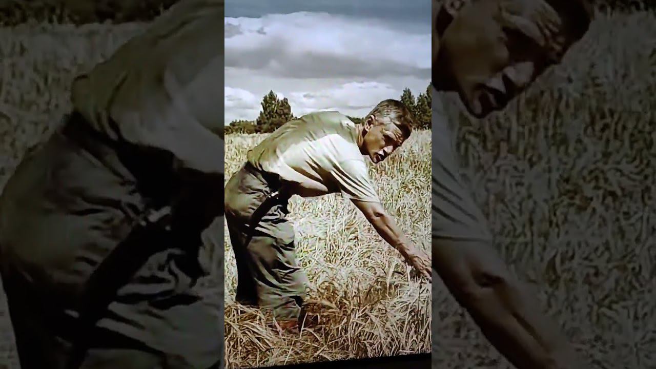 Время жатвы пришло смотреть онлайн