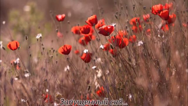 Роза Хастян - СЛАБОСТЬ; УЗНАЙТЕ ЖЕНЩИН ЛУЧШЕ; СКВОЗЬ ЛЕТ...ВДРЕБЕЗГИ РАЗБИТАЯ ЛЮБОВЬ смотреть онлайн