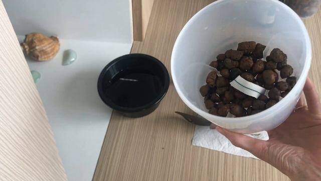 Групповая посадка азиатских #Орхидей ?на ФИТИЛЬНЫЙ полив!