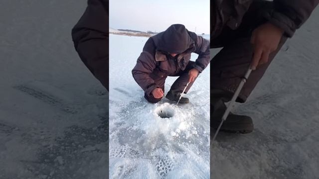 Щука 4 кг на жерлицу смотреть онлайн