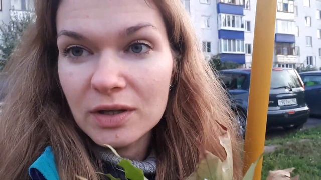 Сбылся ВЕЩИЙ СОН! / Про ЖУТКИЙ СОН смотреть онлайн