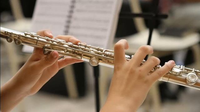 Баев Евг. В театре (дуэт: флейта-гитара) смотреть онлайн