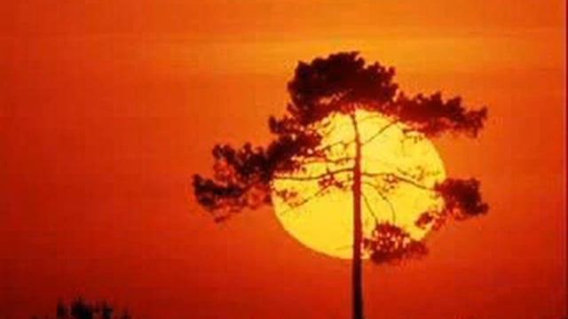 Abdullah Ibrahim - Ishmael