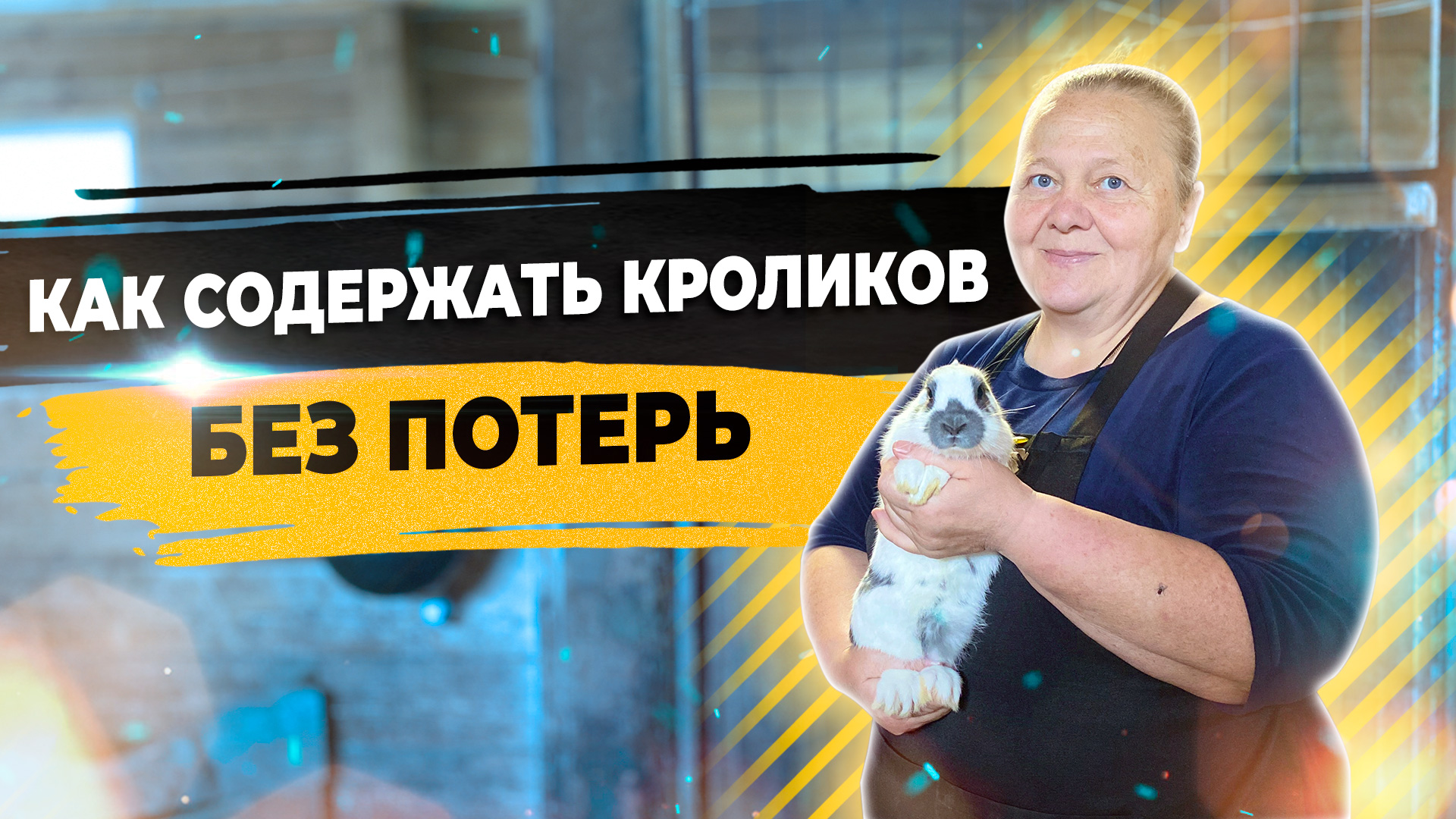 Зачем нужны кролики на ферме? Декоративные кролики. смотреть онлайн