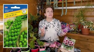 Что посеять в феврале